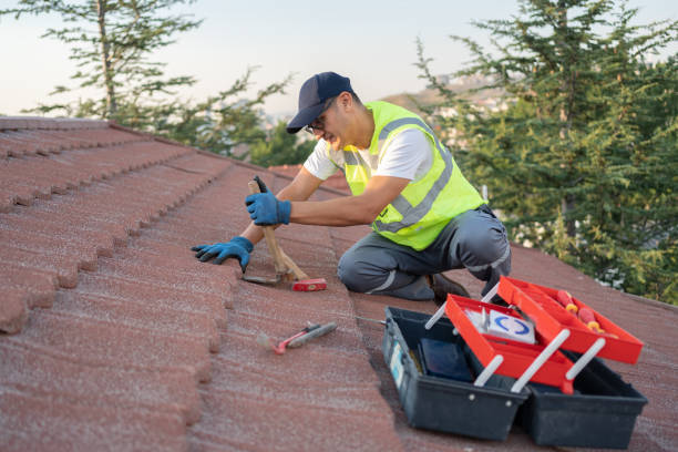 Best Metal Roofing Contractor  in Coaldale, PA