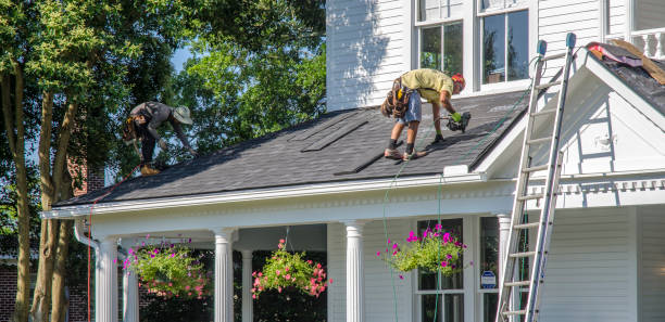 Best Gutter Installation and Roofing  in Coaldale, PA